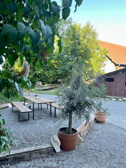 Zauberhafte Ferienscheune Im Hofgut Alte Oelmuehle Engen Esterno foto