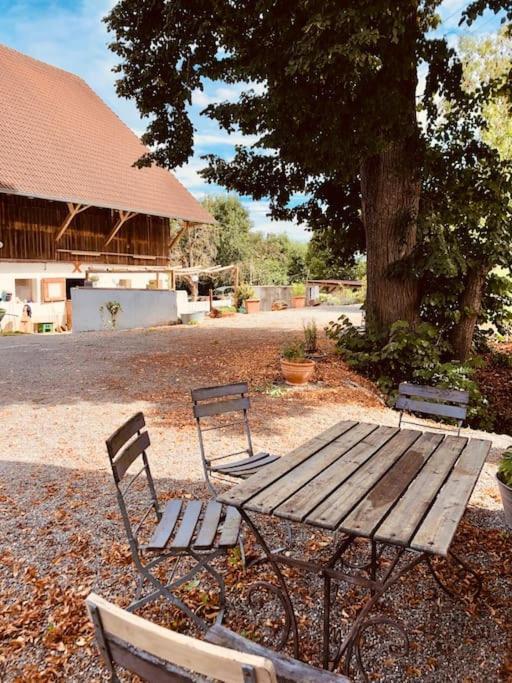 Zauberhafte Ferienscheune Im Hofgut Alte Oelmuehle Engen Esterno foto